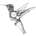 Artist Thumbnail