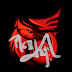 logo Redjay