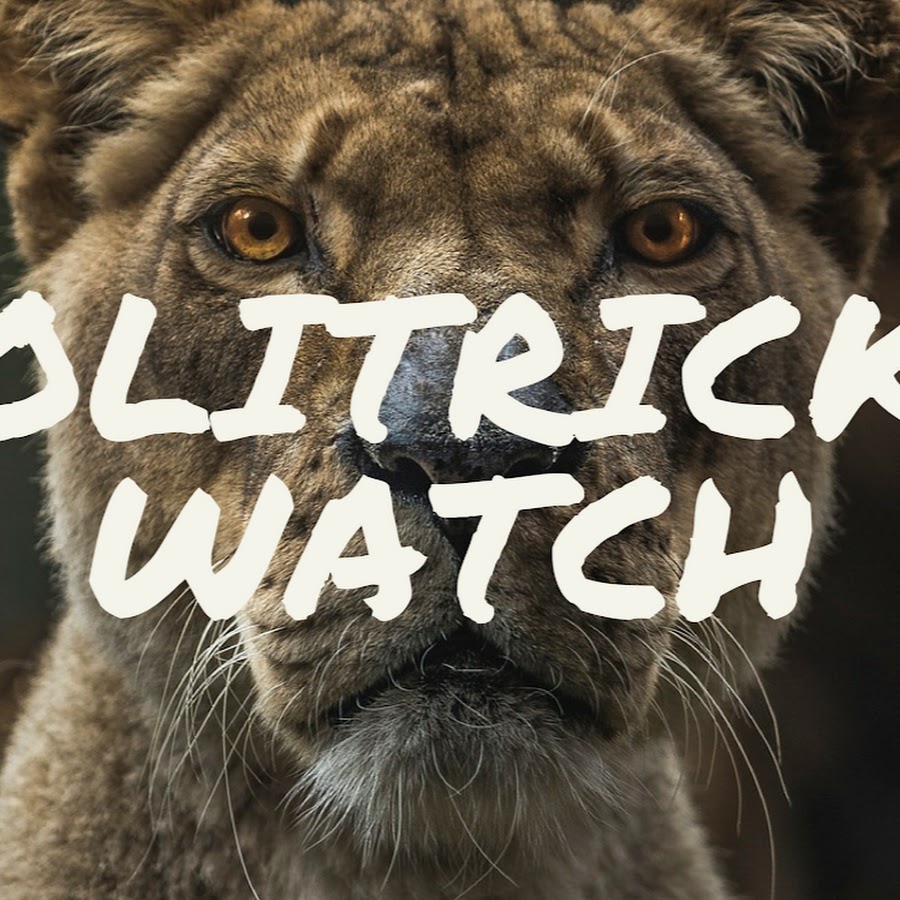 Politricks watch 2024 youtube latest video