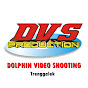 Dolphin Video Shooting