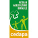 CEDAPA 22