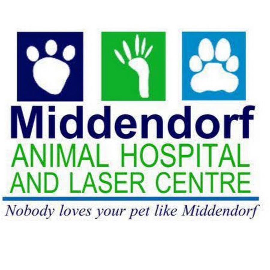 Middendorf Animal Hospital & Laser Centre - YouTube