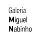 Galeria Miguel Nabinho