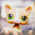logo -Lps Mizuki-