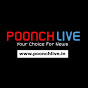 POONCH LIVE