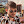 jamesmarriott avatar
