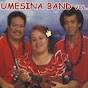 The Taumesina Band