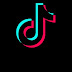 logo TIK TOK
