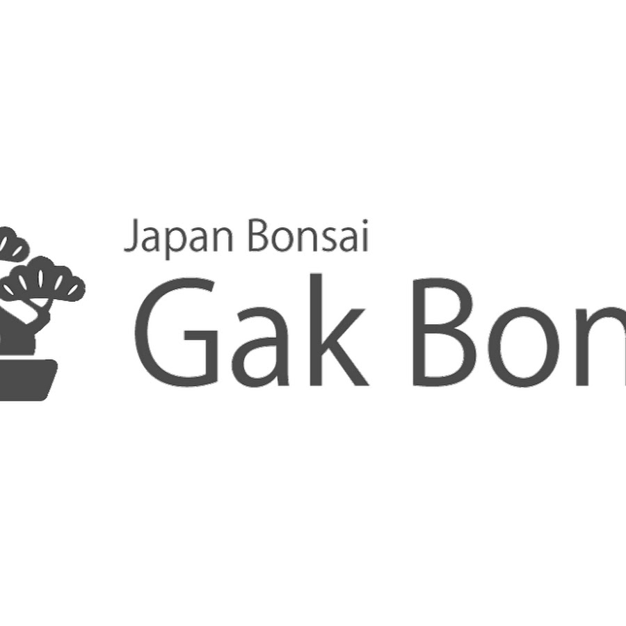 gak bonsai