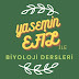 YASEMİN EFİL İLE BİYOLOJİ