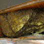 Re-Hive Beekeeping