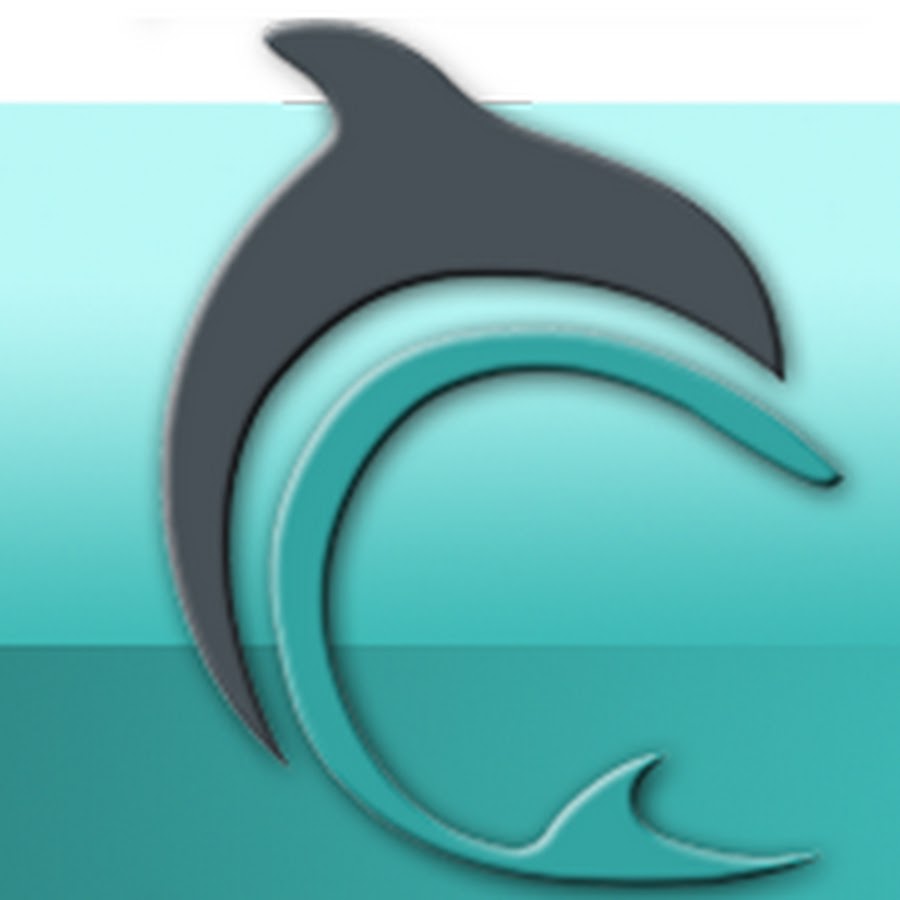 Dolphin Financial Group