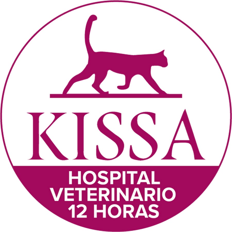Canal Veterinario @canalveterinario66