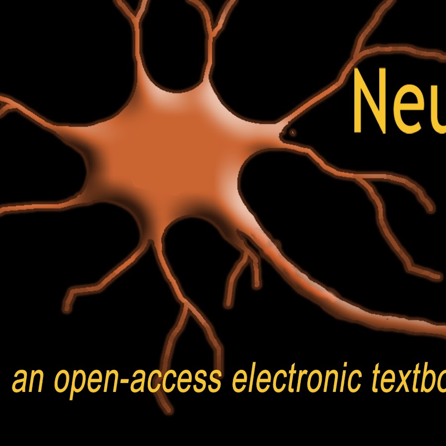 Neuroscience Online