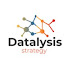 logo Datalysis Strategy