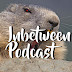 and Everything Inbetween Podcast