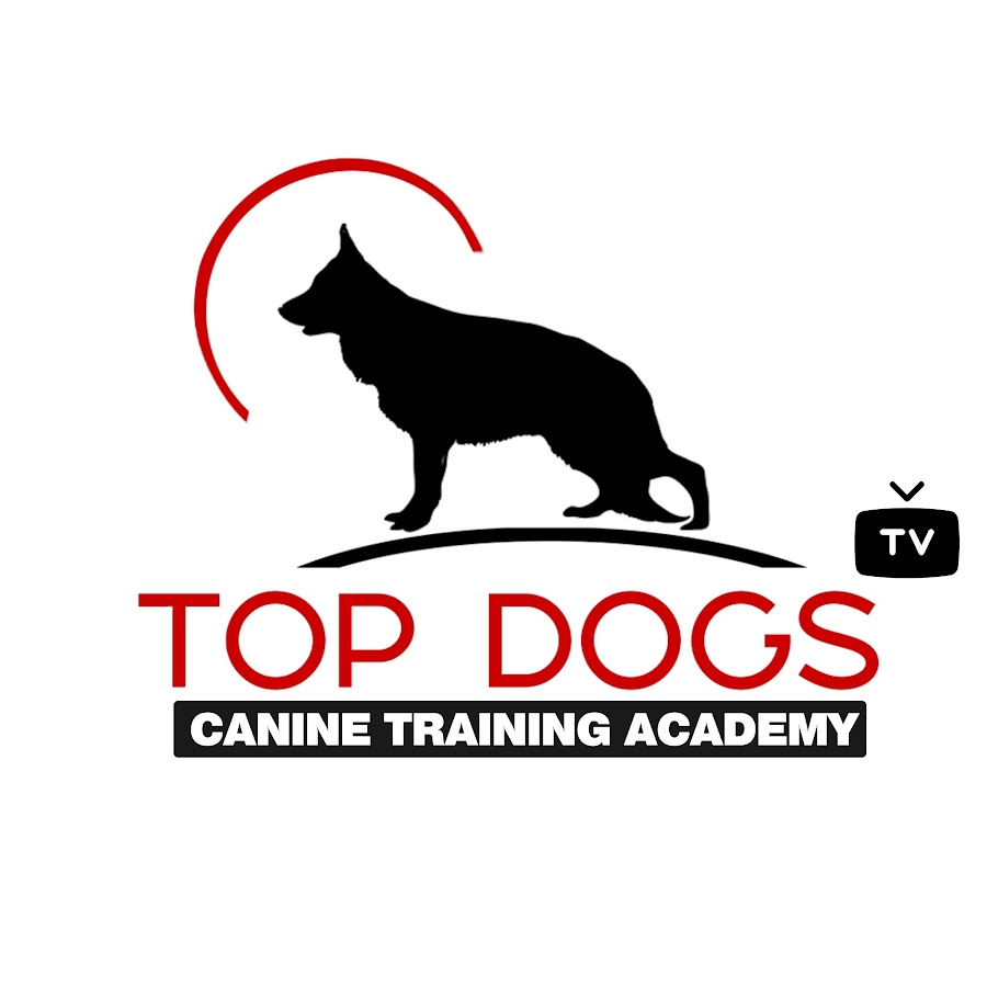 Top Dogs TV