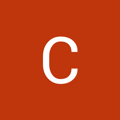 influencer profile picture