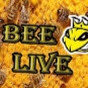 Bee Live