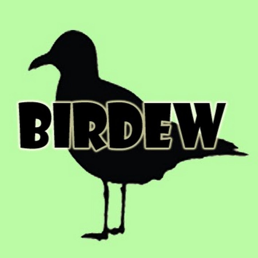BirdewFoodReviews