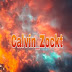 Calvin Zockt