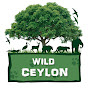 Wild Ceylon