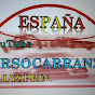 rallysprin.tirsocarranza