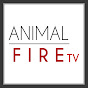 Animal Fire TV