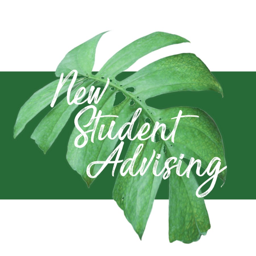 New Student Advising UHM