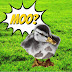 logo theduckgoesmoo