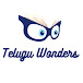 Telugu Wonders