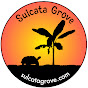 Sulcata Grove