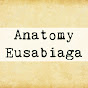 Anatomy Eusabiaga