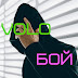 logo VoloБой