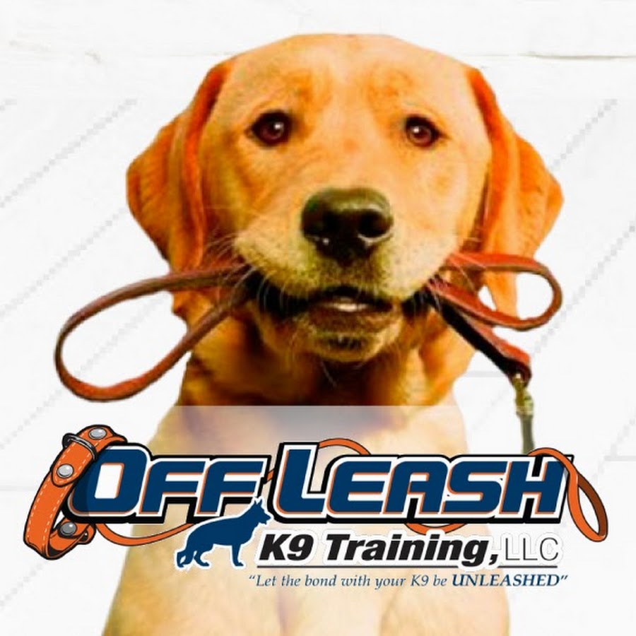 Off Leash K9 Training, Charlottesville