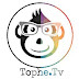 logo Tophe. TV