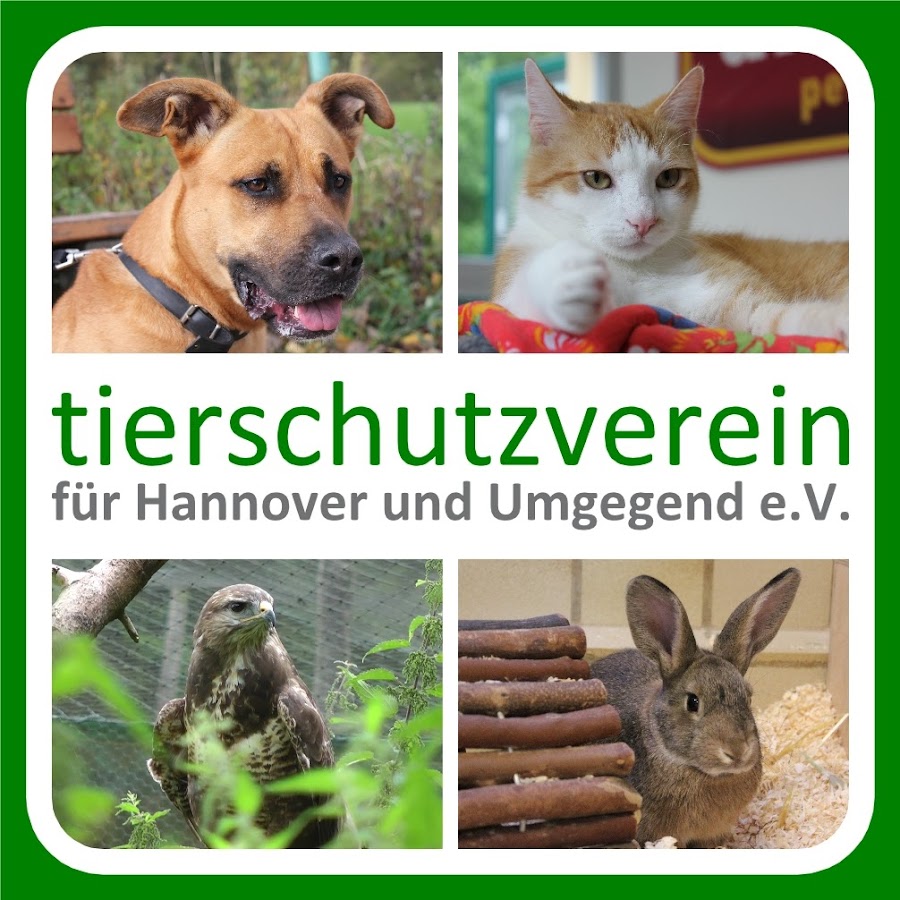 Tierschutzverein Hannover @TierheimTV