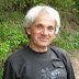 logo Boris Besarabov