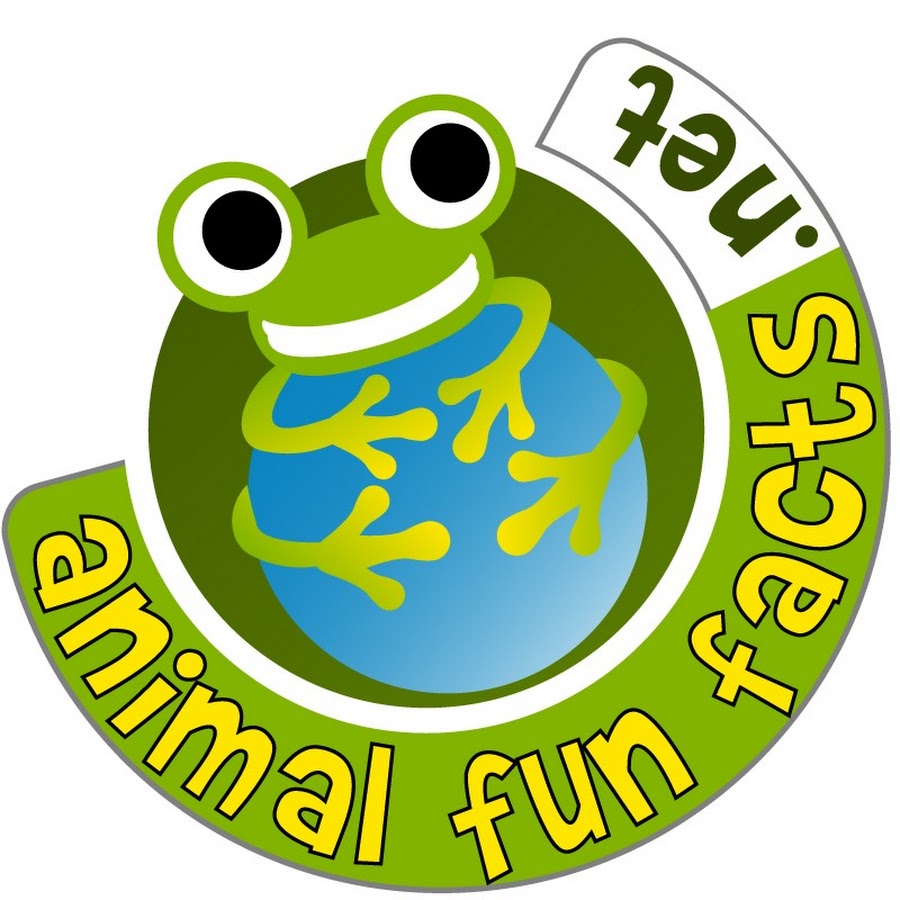 animal fun facts