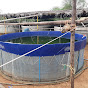 biofloc tamilnadu Dv Farms