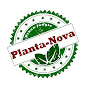 Planta-Nova