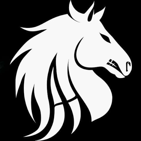 influencer-profile-picture