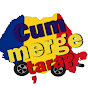 Cum merge tara?