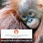 Orangutan Foundation International Australia