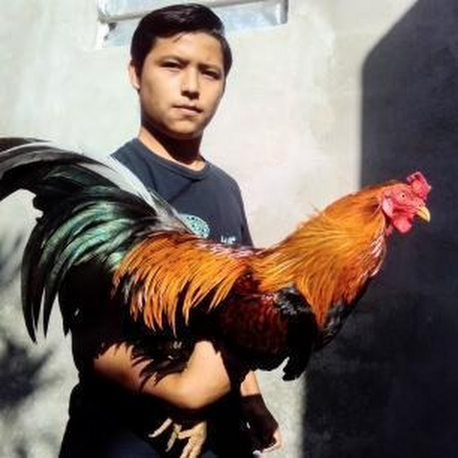 criadero Martin @criaderomartin