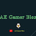 AE Gamer Blox