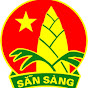 Ban Thanh thiếu nhi - Trường học Hà Tĩnh