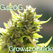 Grow420Guide