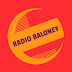 logo RADIO BALONEY