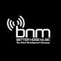 Better Noise Music youtube avatar
